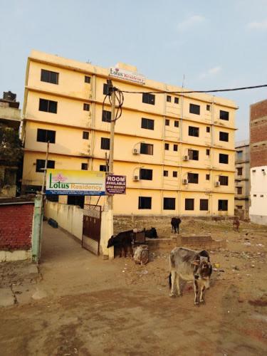 Lotus Residency Hotel Bodh Gaya Exterior foto